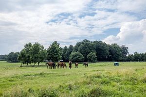Woonhuis te huur Dorpsstraat 8 A Mheer