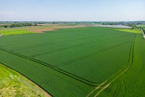Land for sale Op De Duif 1 Margraten