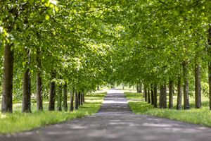 Land for sale Pinksterbloem ong Heerlen