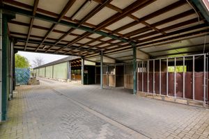 House for sale Schurenbeemdstraat 5 Kinrooi