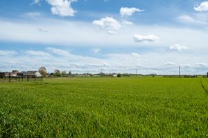 House for sale Bilzerbaan 151 Lanaken