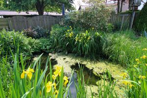 House for sale Heirstraat 325 Maasmechelen