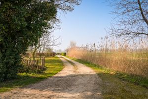 House for rent Zwanenburgseweg 6 Heeswijk-dinther