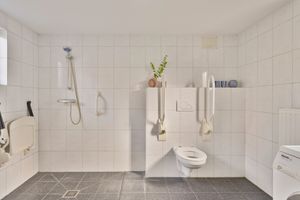 House for sale Hoenderstraat 27 a Well L