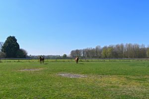 House for sale Baarloseweg 32 Helden