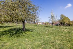 House for sale Titus Brandsmastraat 5 Brunssum