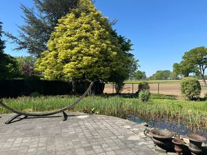 House for sale Rijksweg 586 Maasmechelen