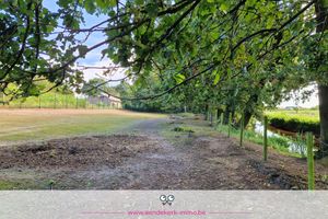 Land for sale Donkstraat 89 Kinrooi