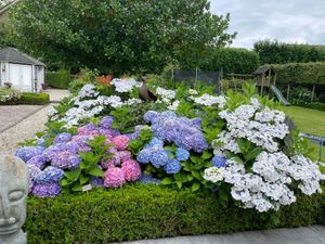 Woonhuis te koop Hommerter Allee 19 Amstenrade