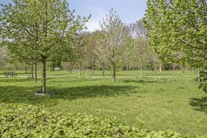 Appartement te koop Schachtstraat 15 Hoensbroek
