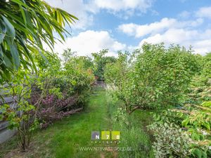 House for sale Molenstraat 51 Maasmechelen