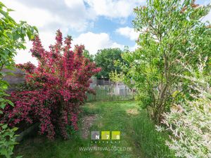House for sale Molenstraat 51 Maasmechelen