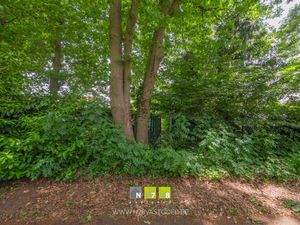 House for sale Kwavenstraat 46 Dilsen-Stokkem