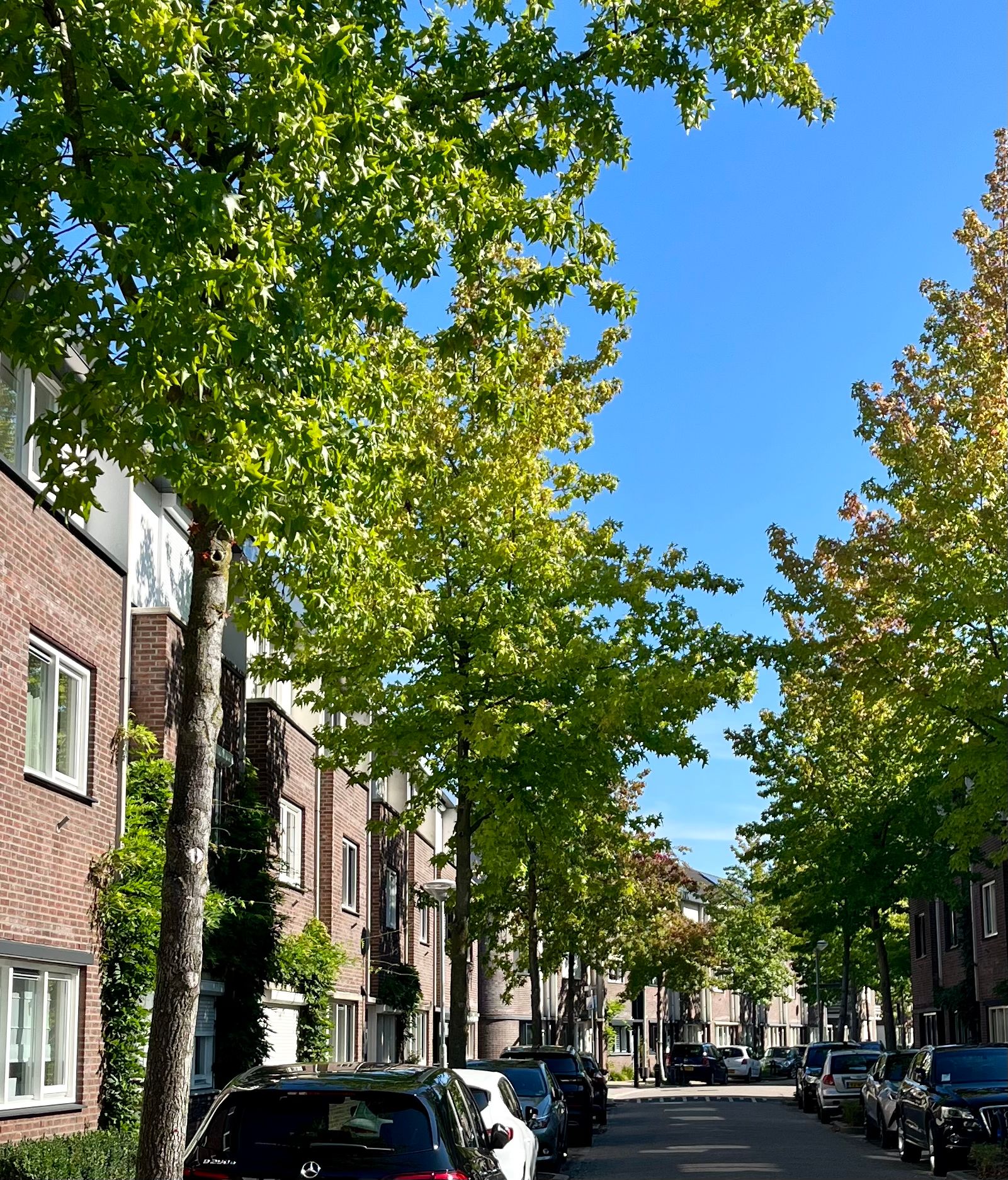 Woonhuis te koop Engeliena Schaapstraat 20 Venlo